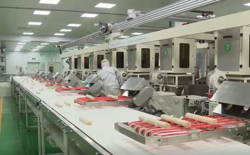 直击复工首日 山东16市企业齐头并进 家用纺织制成品制造大项目引领春潮